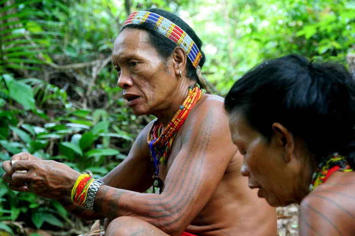 people trek Hiking the mentawai islands on a budget