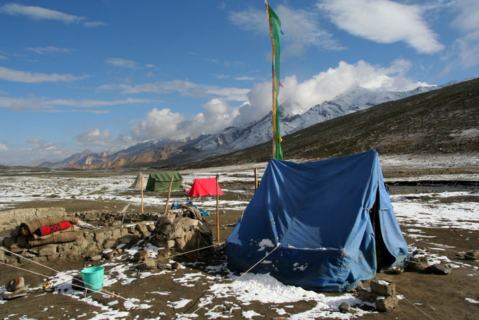 nimaling camp markha valley trek on a budget