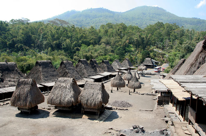 bajawa pueblos Que hacer en la isla de Flores, Indonesia