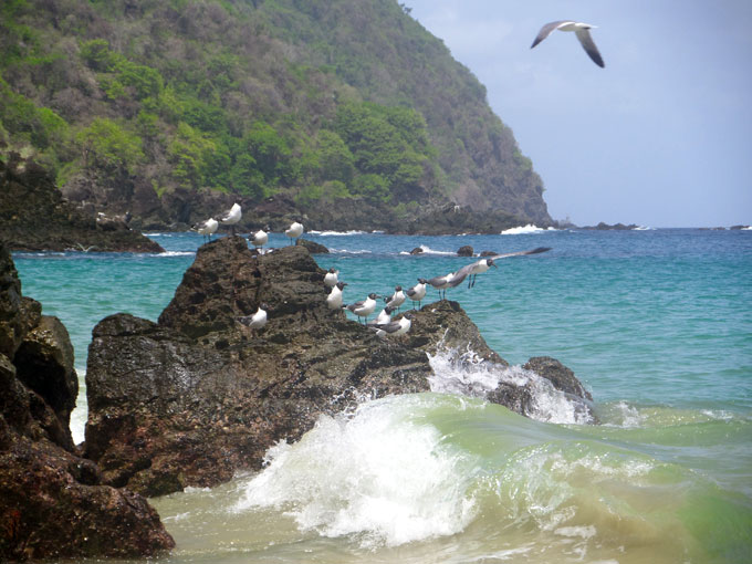 castara beach backpacking in trinidad and tobago