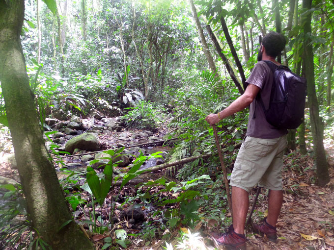 Hike to Seven Sisters Falls in Grenada grenada