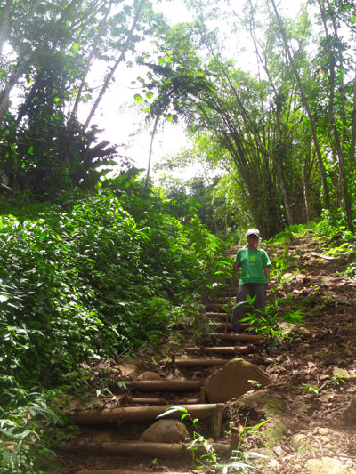 Hike to Seven Sisters Falls in Grenada