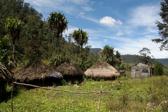 papua village Hiking the Baliem Valley on a budget