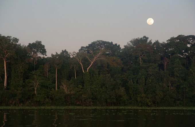amazonas lago selva peruana