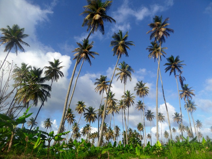 How to Hike La Soufrière Volcano in Saint Vincent