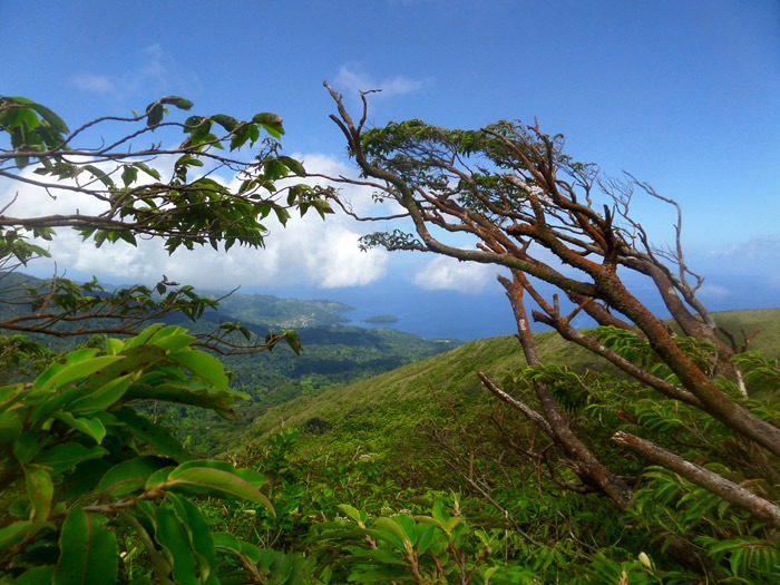 Trekking y aventuras por el Caribe Volcan La Soufriere Saint Vincent