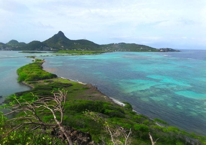 tobago cays marine park island union