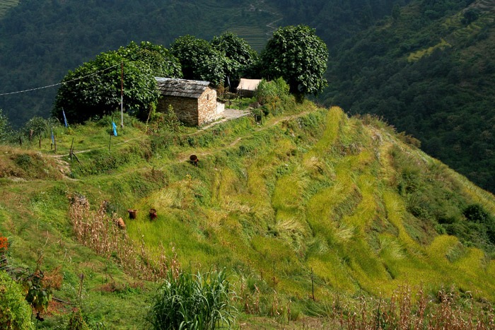 trekking al campo base del annapurna