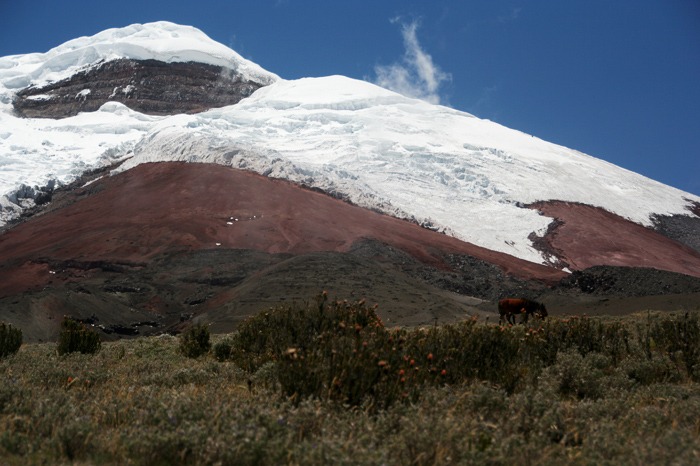 climbing cotopaxi volcano budget