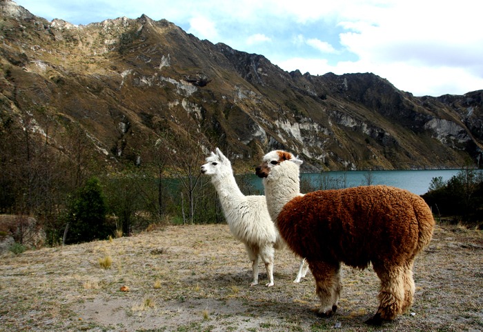 backpacking ecuador budget quilotoa lagoon