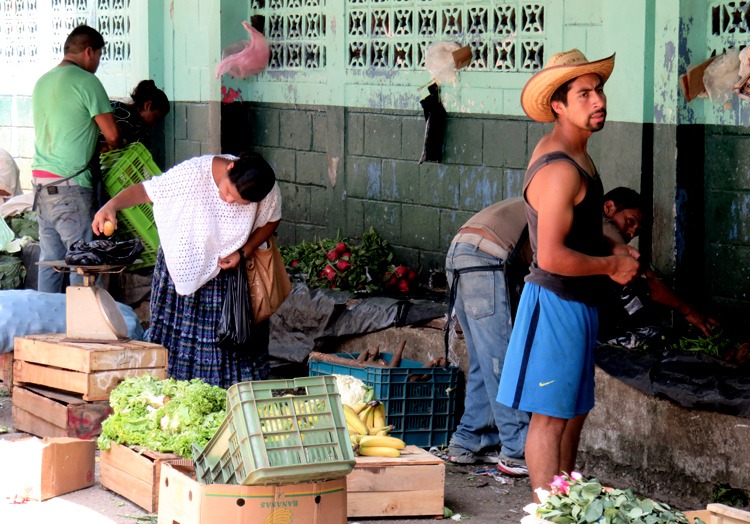 visitando rio dulce y livingston