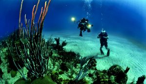 scuba diving tips