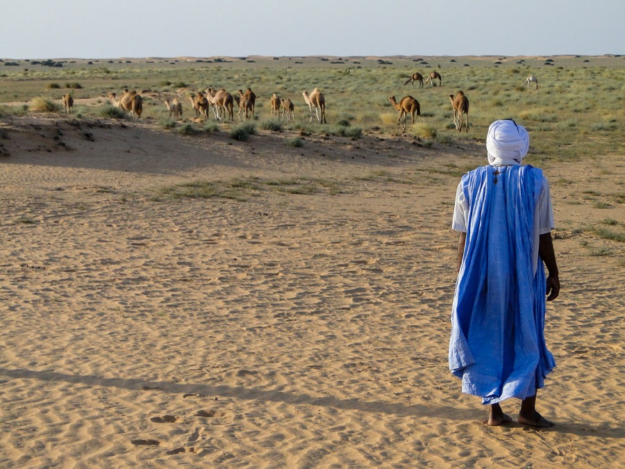 overland in west africa mauritania