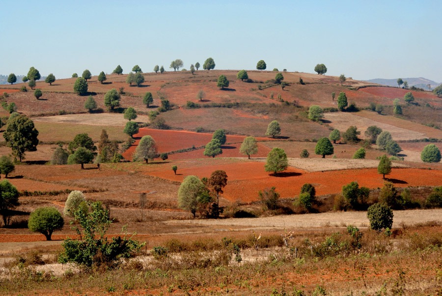 kalaw paisaje