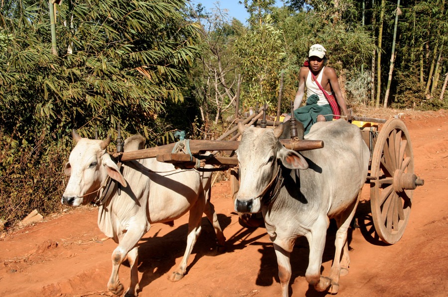 kalaw to inle