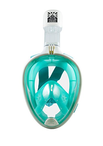 Download Top 7 Full Face Snorkel Masks Updated Review Of 2020 PSD Mockup Templates