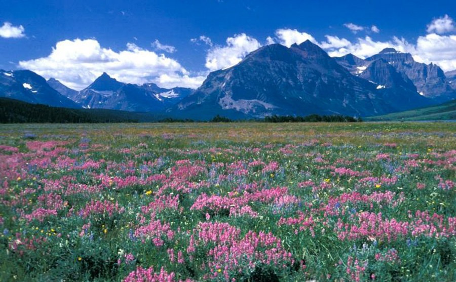 glacier park