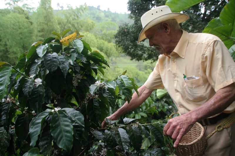 Colombia eje cafetero