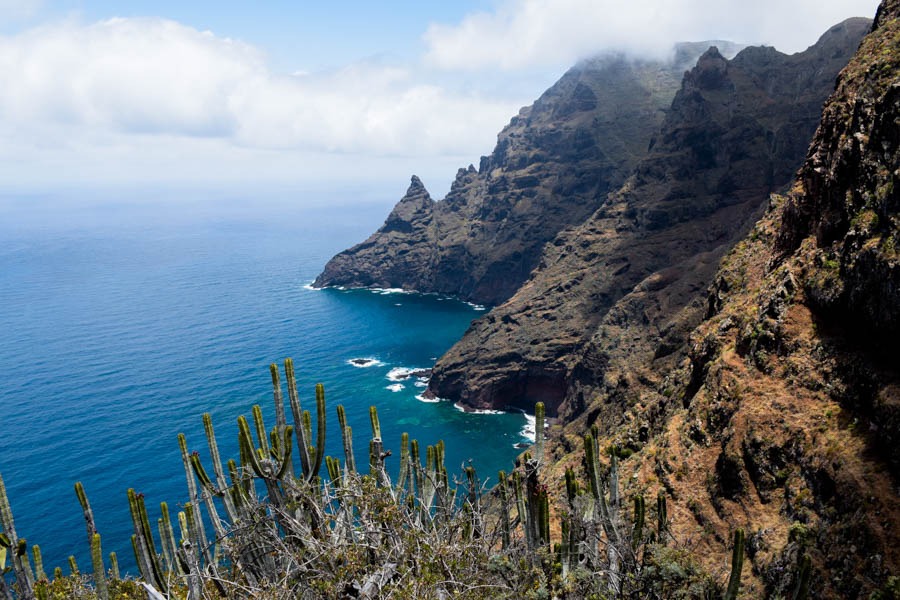 Punta de Hidalgo best hikes in tenerife