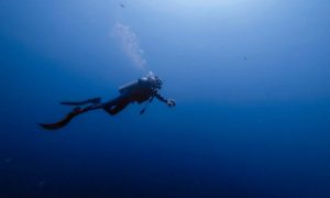 Best SMBs for Scuba Diving