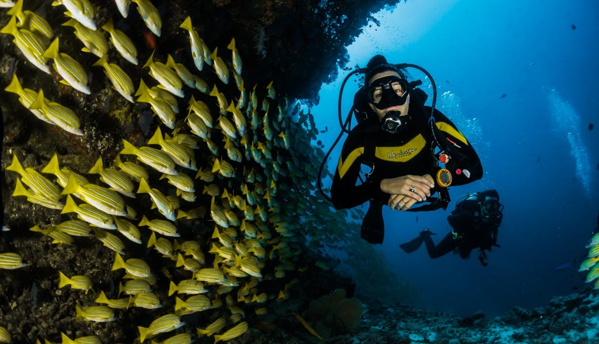 Las 10 Mejores Bolsas y Maletas de buceo del 2022