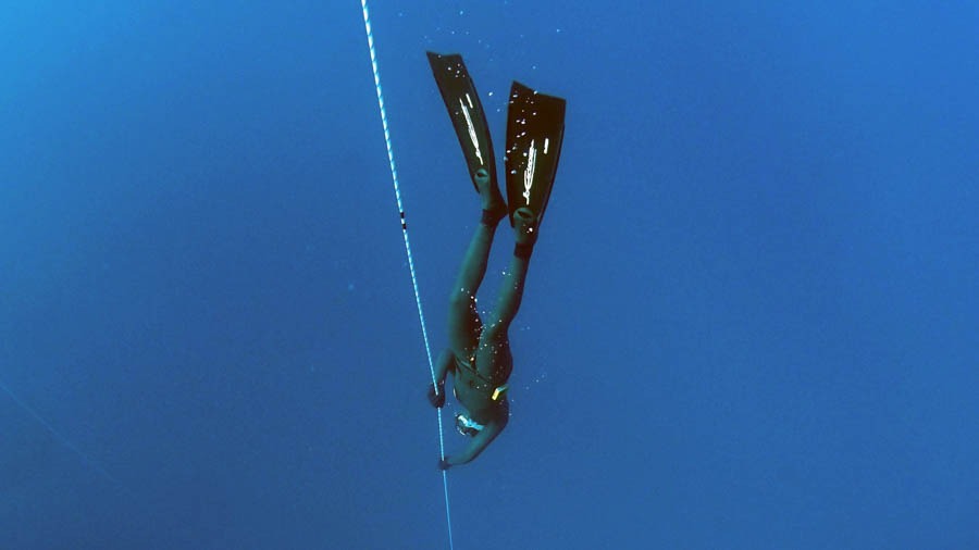 best freediving fins