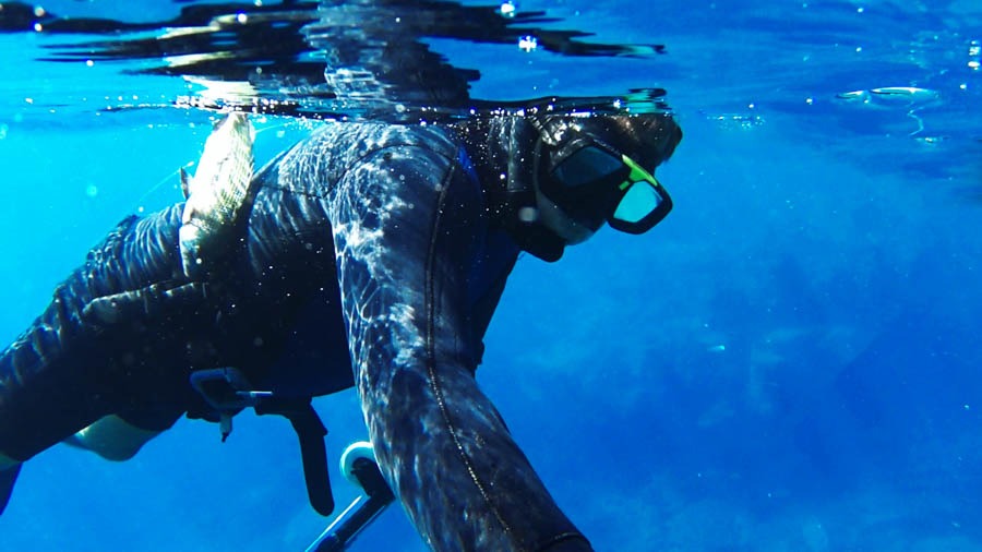 best spearfishing wetsuits