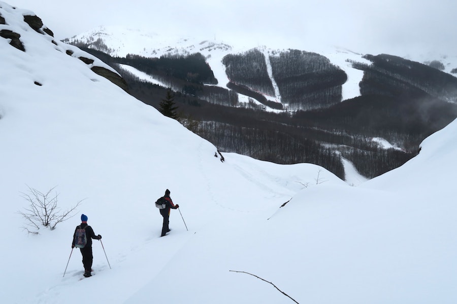 Meilleures Raquettes à Neige